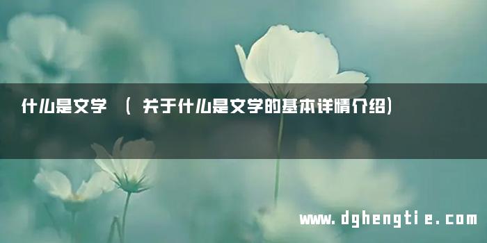 什么是文学 (关于什么是文学的基本详情介绍)
